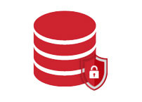 100% Data Security Ensured